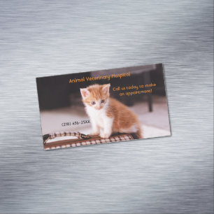 Orange Kitten Pet Care Services Appointment  Business Card Magnet