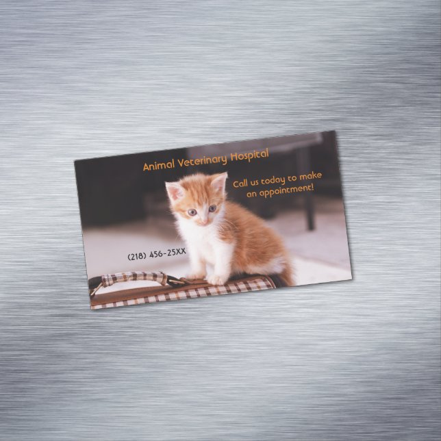 Orange Kitten Pet Care Services Appointment  Business Card Magnet (In Situ)