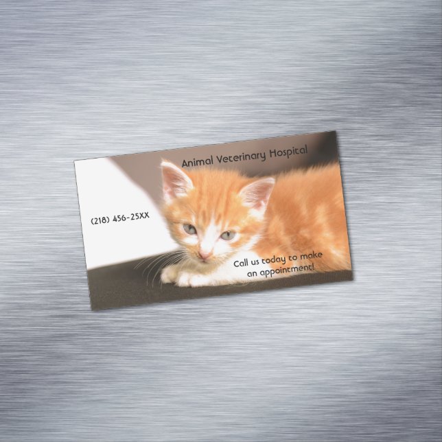 Orange Kitten Pet Care Services Appointment  Business Card Magnet (In Situ)