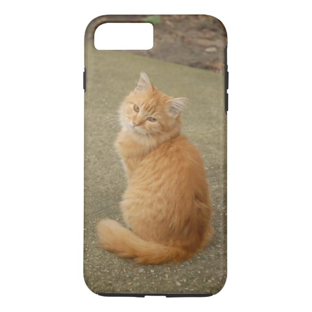 Orange Kitten Photo Case-Mate iPhone Case (Back)