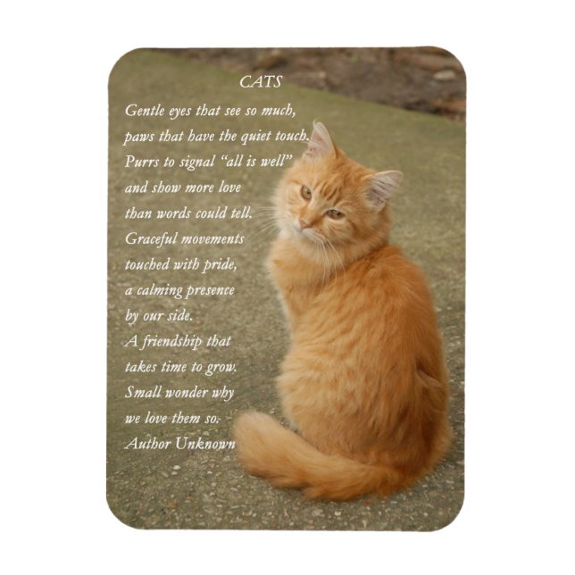 Orange Kitten Photo With Poem Magnet (Vertical)