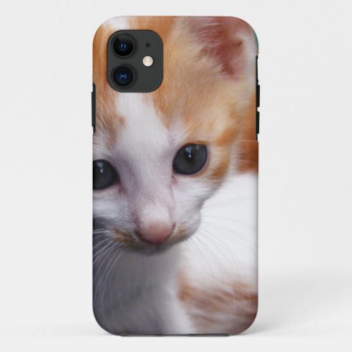Orange Kitten Photograph iPhone 11 Case