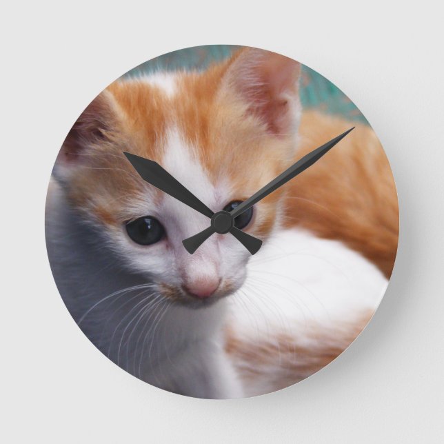 Orange Kitten Photograph Round Clock (Front)