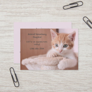  Orange Kitten Pink Pet Care Appointment   Business Card