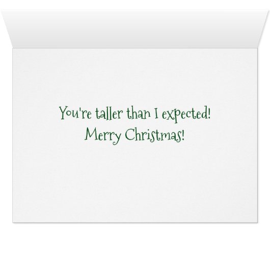 Orange Kitten Wearing Christmas Scarf (Inside Horizontal (Bottom))