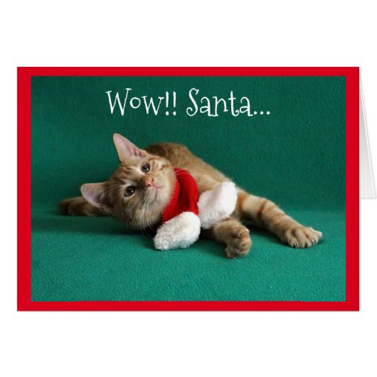 Orange Kitten Wearing Christmas Scarf Cards (Front Horizontal)
