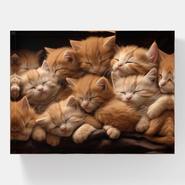 Orange kittens sleeping in a pile paperweight (Front)