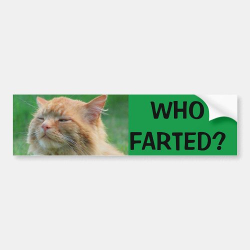 Orange Kitty asks Who Farted Bumper Sticker