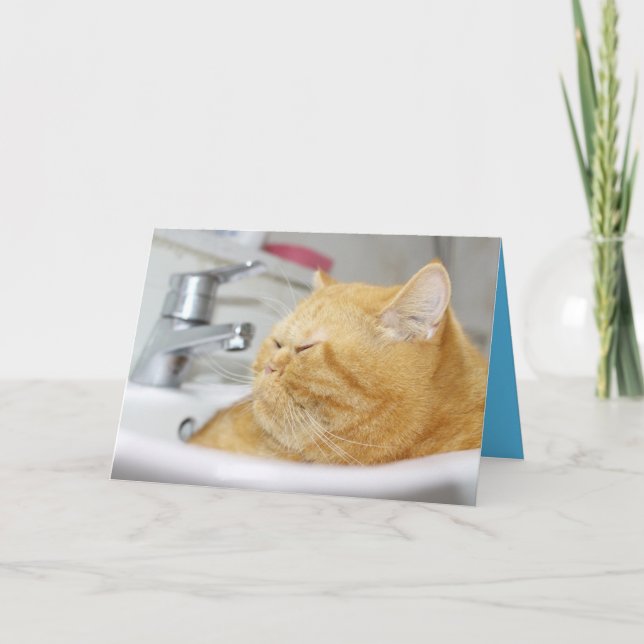 Orange Kitty Cat Cute Customizable Card (Front)