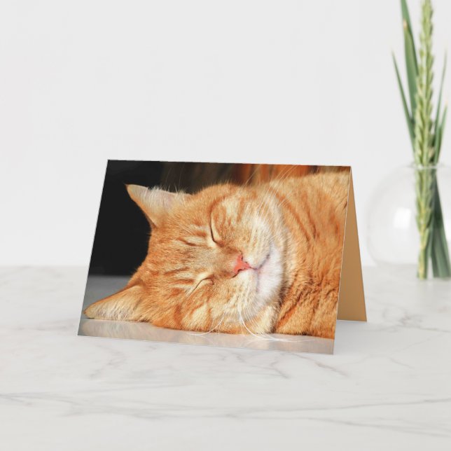 Orange Kitty Cat Cute Customizable Card (Front)