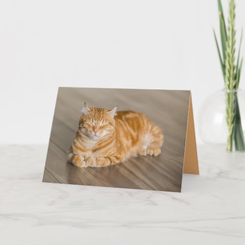 Orange Kitty Cat Cute Customizable Card