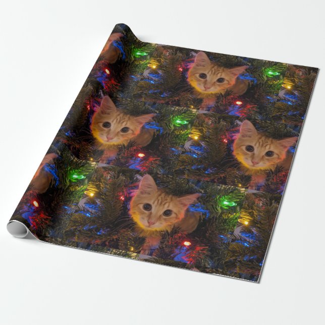 Orange Kitty Christmas Paper (Unrolled)