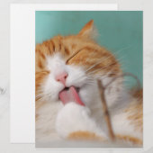 Orange Kitty Licks (Front/Back)