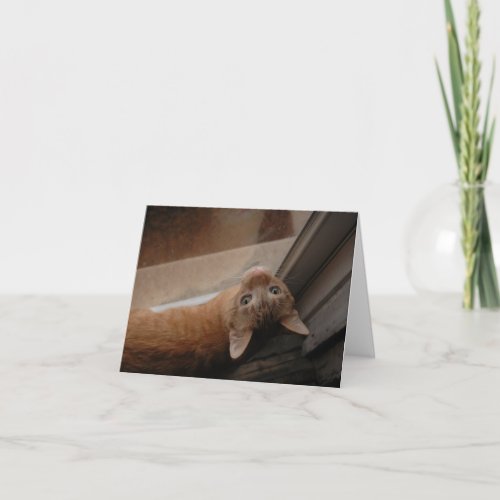 Orange kitty notecard by HAS Arts Thank You Card