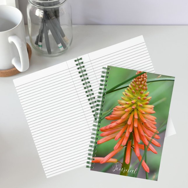 Orange Kniphofia Plant Bloom Floral Notebook (In Situ)