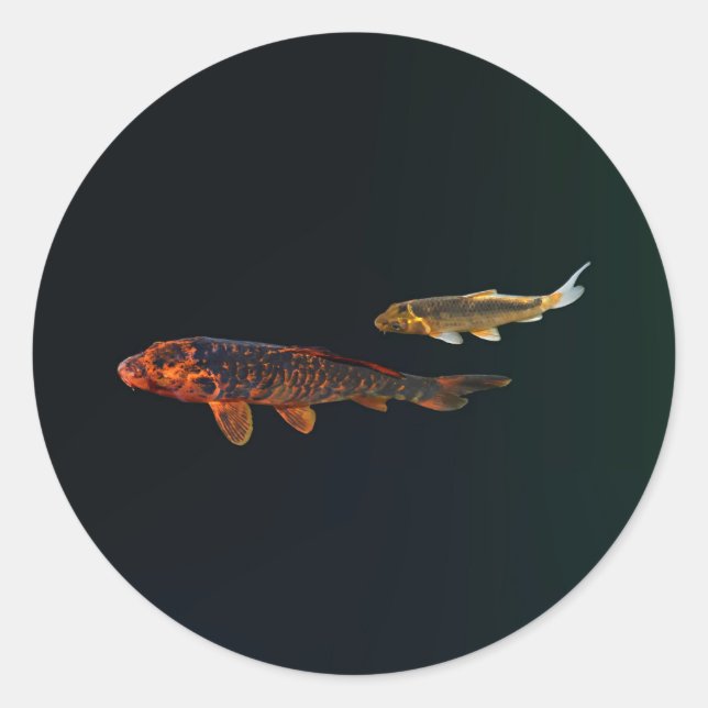 Orange Koi and Gold Koi Classic Round Sticker (Front)