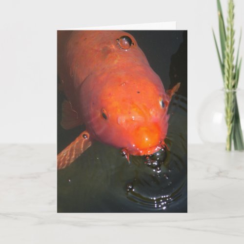 Orange koi fish blowing bubbles card