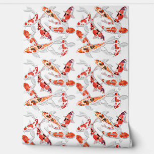 Orange Koi fish  Wallpaper