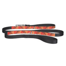 Orange & lack paw print leash