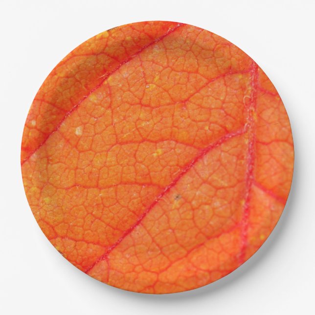 Orange Leaf Fall Photo Rustic Autumn Wedding Paper Plates (Front)