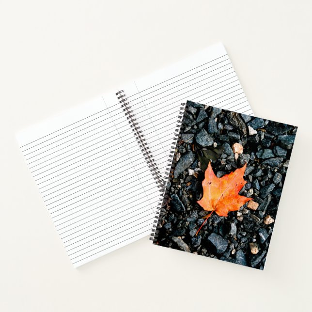 Orange Leaf on Black Rocks Spiral Notebook (Inside)
