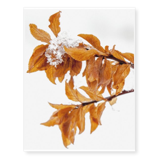 Orange Leafs in Winter Temporary Tattoos (Front)