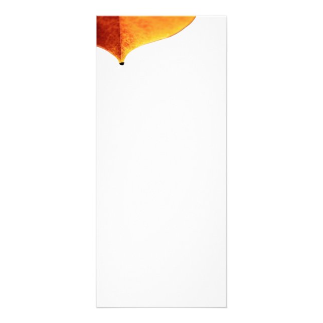 Orange Leave Rack Card (Front)