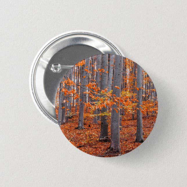 Orange Leaves Fall Forest Photo Button (Front & Back)
