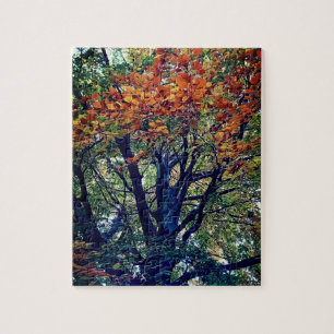 Orange leaves jigsaw puzzle