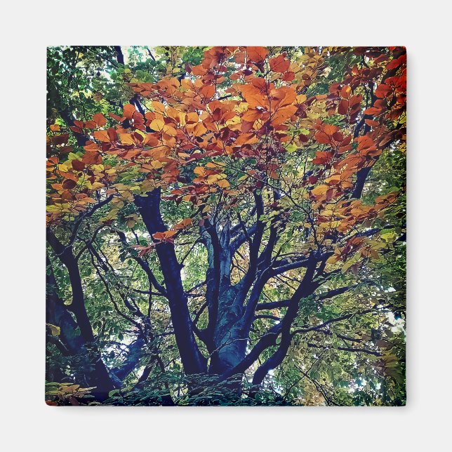 Orange leaves magnet (Front)