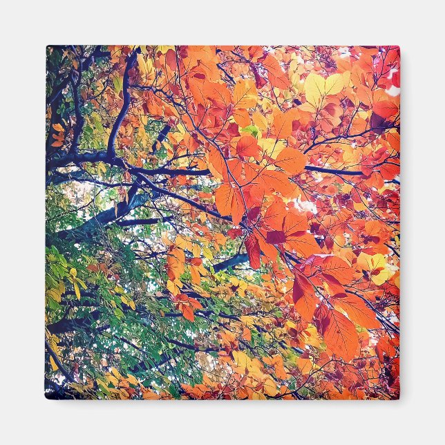 Orange leaves magnet (Front)