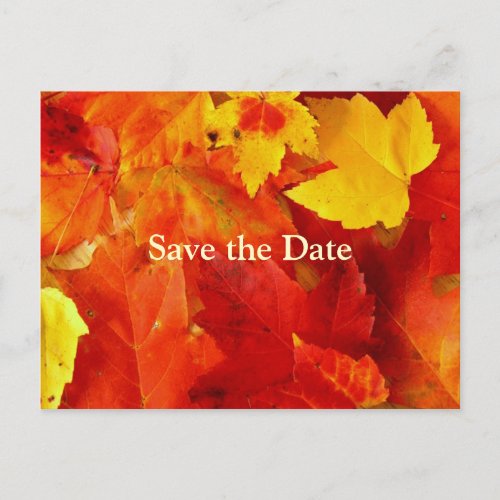 Orange Leaves Save the Date Fall Wedding Card
