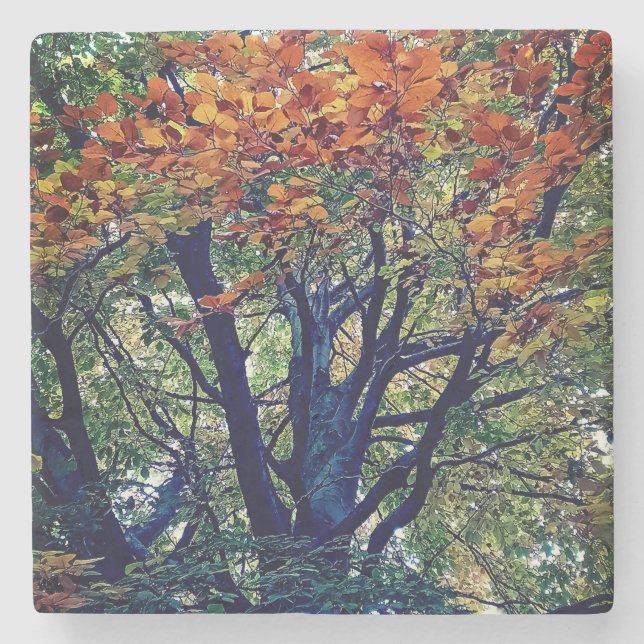 Orange leaves stone coaster (Front)