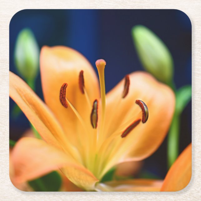 Orange Lilly Flower Blossom Square Paper Coaster (Front)