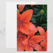 Orange Lily (Front/Back)