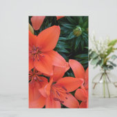Orange Lily (Standing Front)