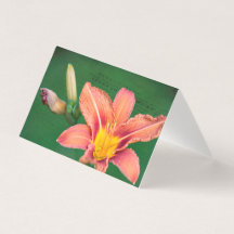 Orange Lily Blank Note Card