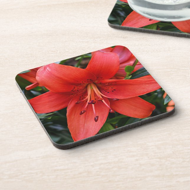 Orange Lily Bloom Floral Beverage Coaster (Left Side)