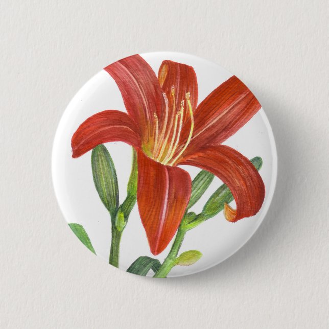 Orange Lily Botanical Illustration Pinback Button (Front)
