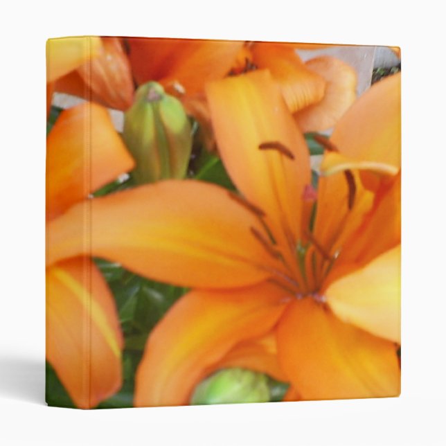 Orange Lily Flowers 3 Ring Binder (Front/Spine)