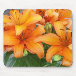 Orange Lily Flowers Mouse Pad
