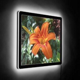 Orange Lily Green Leaves Home Lighting 