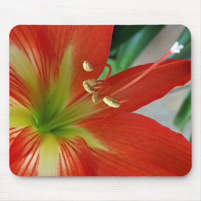 orange lily mouse pad (Front)