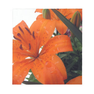 Orange LIly Notepad