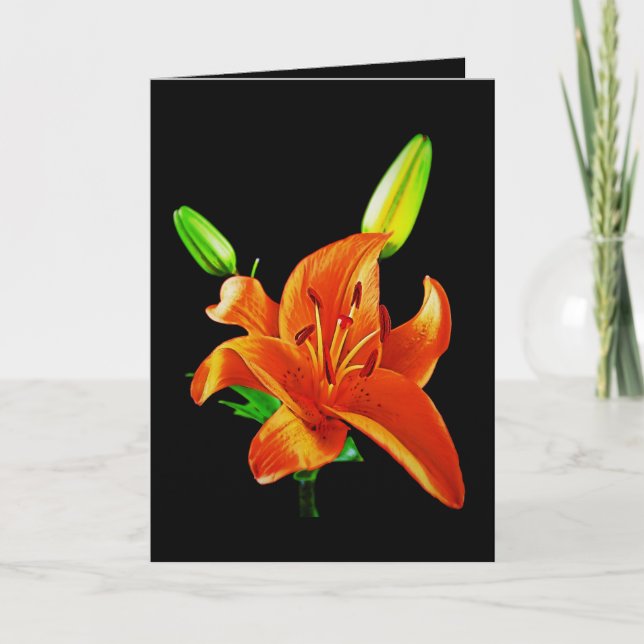 Orange Lily On Black Card (Front)