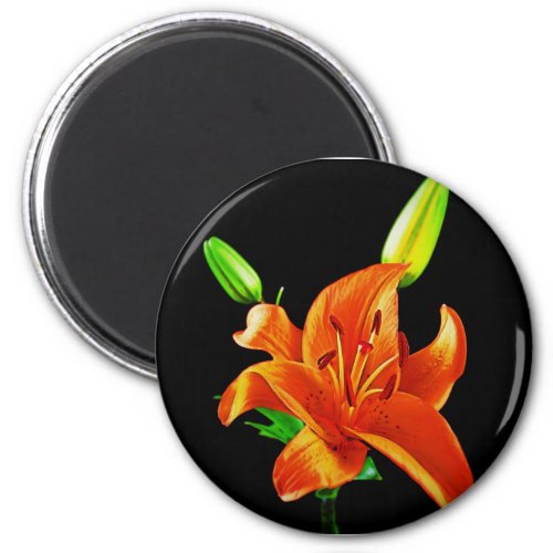 Orange Lily On Black Magnet