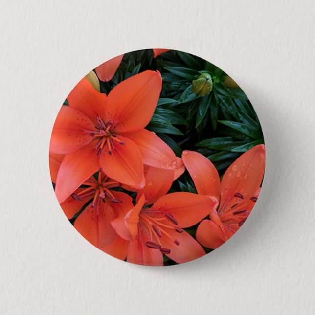 Orange Lily Pinback Button (Front)