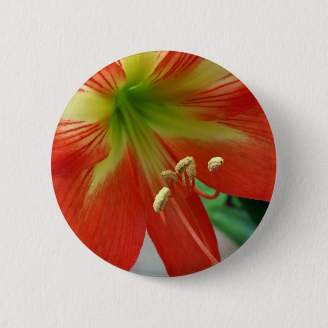 orange lily pinback button (Front)