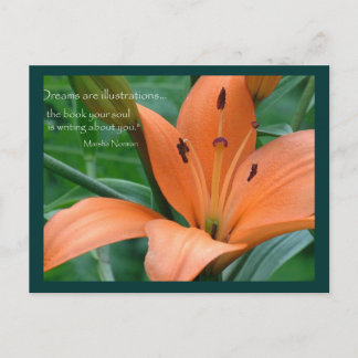 Orange Lily Postcard