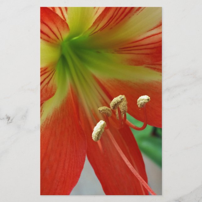 orange lily stationery (Front)